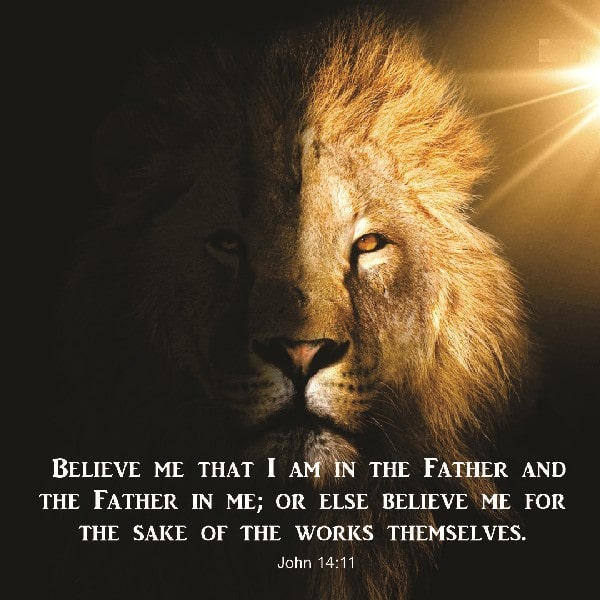 John 14:11
