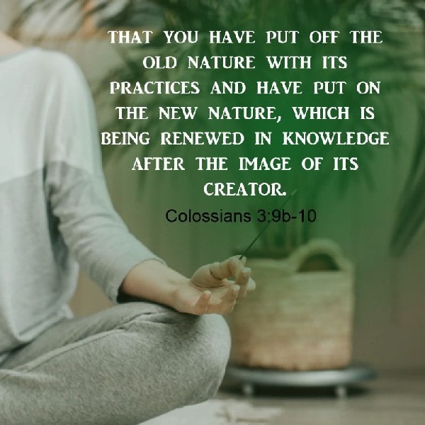 Colossians 3:9b-10
